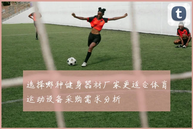 选择哪种健身器材厂家更适合体育运动设备采购需求分析