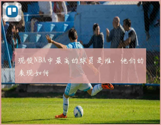 现役NBA中最高的球员是谁，他们的表现如何