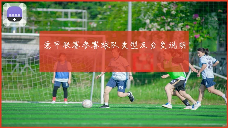 意甲联赛参赛球队类型及分类说明