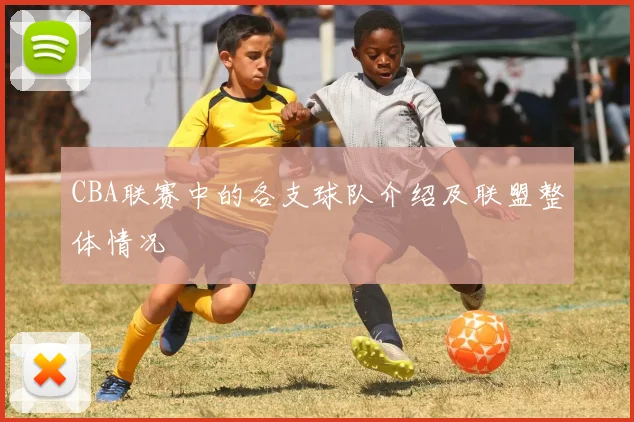 CBA联赛中的各支球队介绍及联盟整体情况