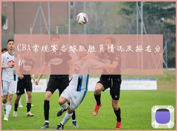 CBA常规赛各球队胜负情况及排名分析