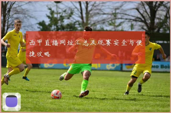 西甲直播网址汇总及观赛安全与便捷攻略